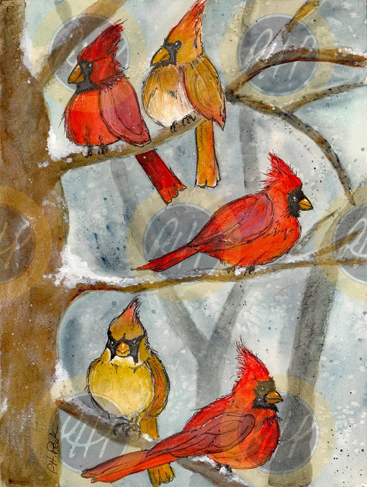 Cardinal Family - 10 Pack Notecards