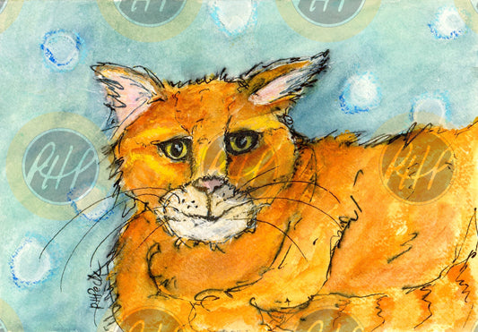 Bubbles the Cat - 10 Pack Notecards