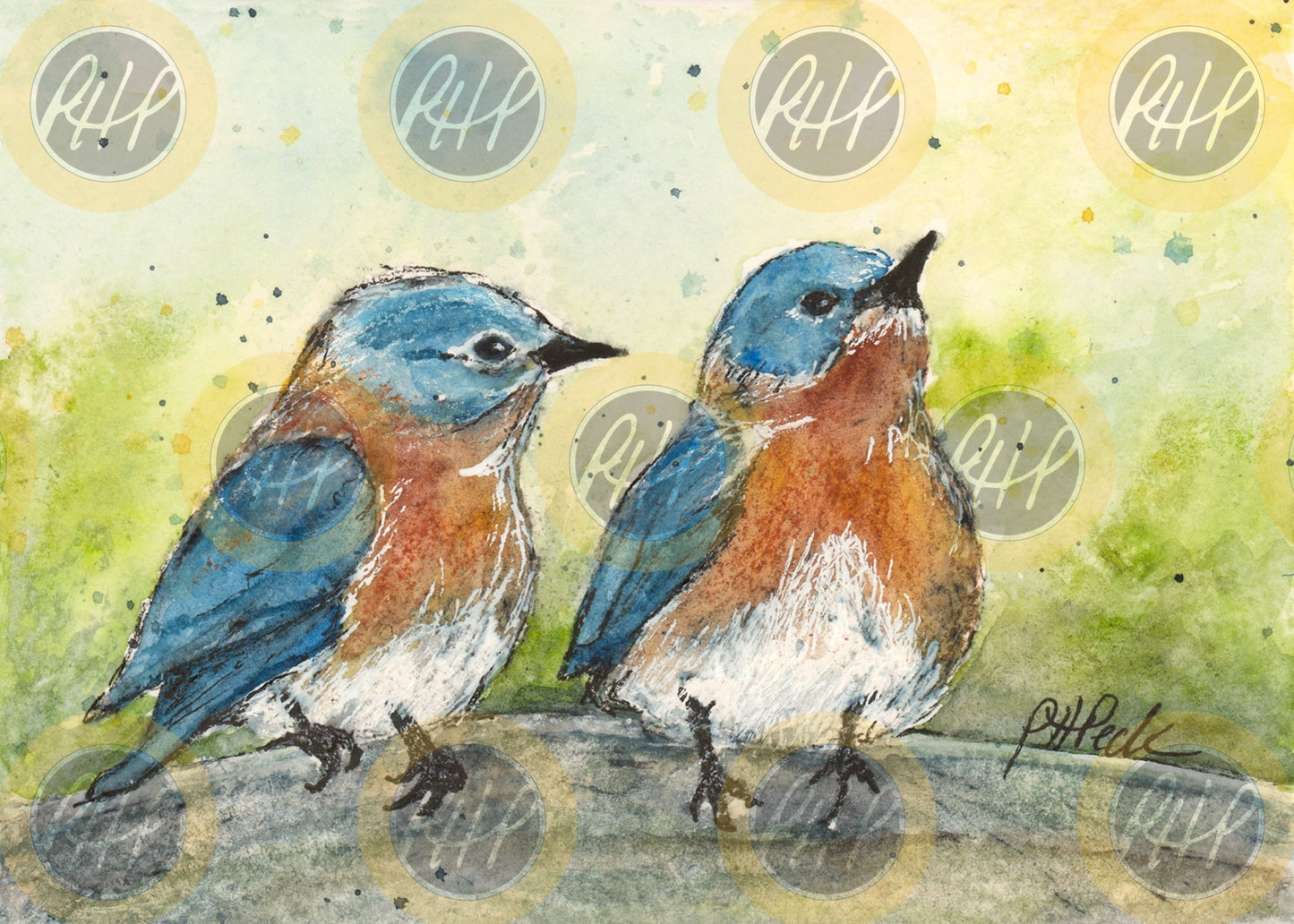 Bluebird Buddies - 10 Pack Notecards