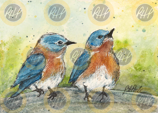 Bluebird Buddies - 10 Pack Notecards