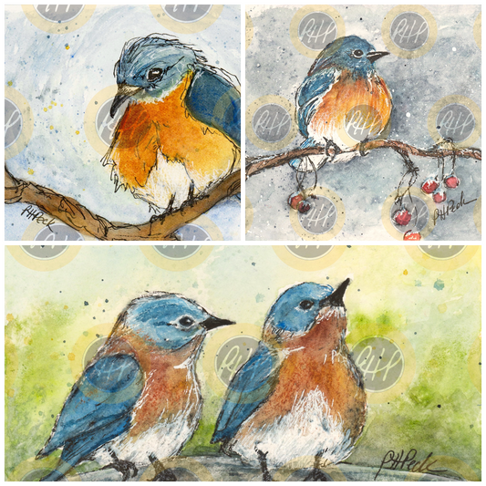 Bluebirds Variety Pack  - 10 Pack Notecards