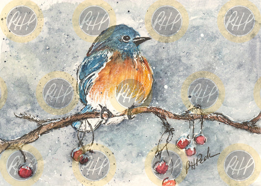 Bluebird with Berries - 10 Pack Notecards