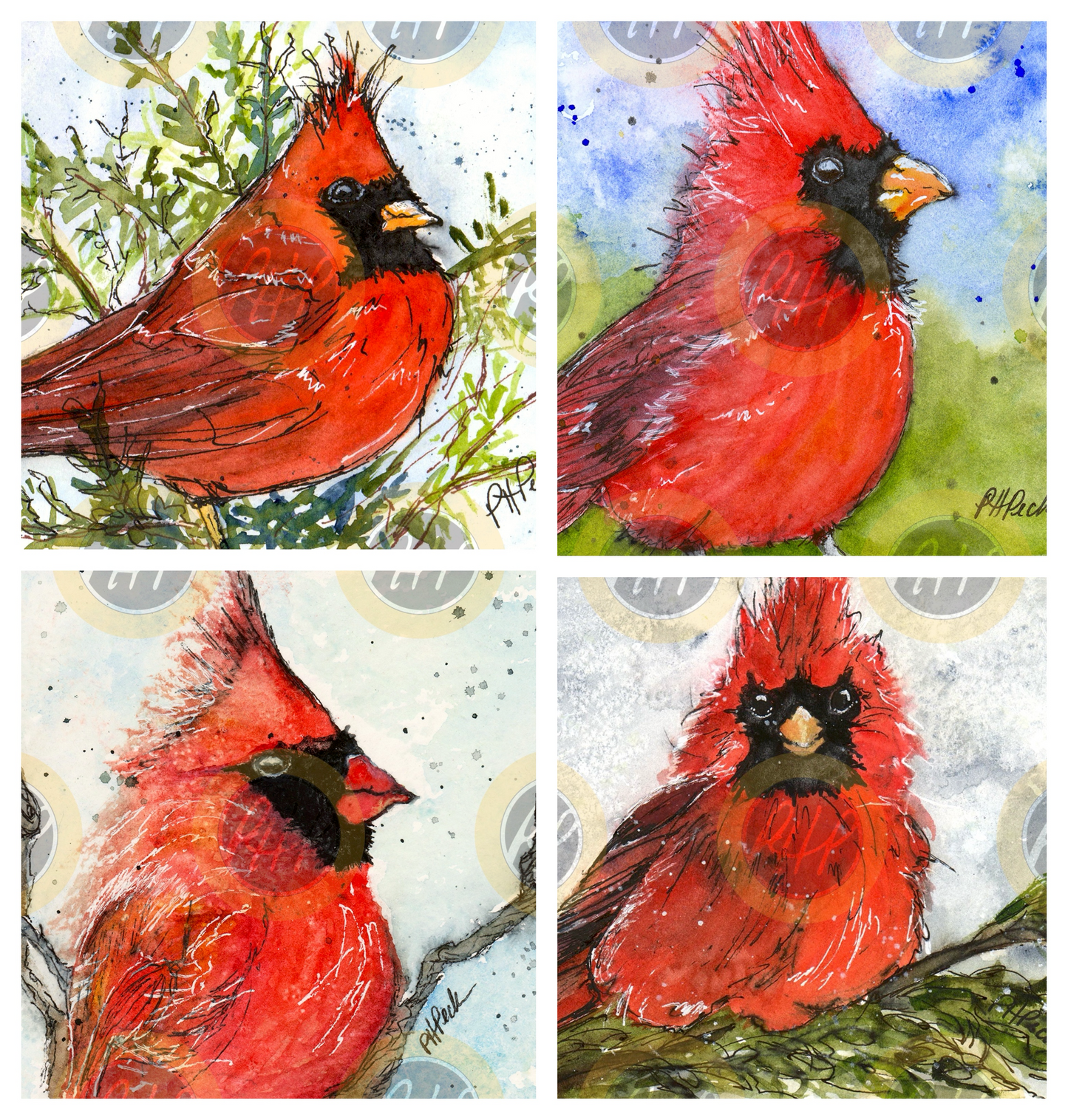 Carinals Variety Pack  - 10 Pack Notecards
