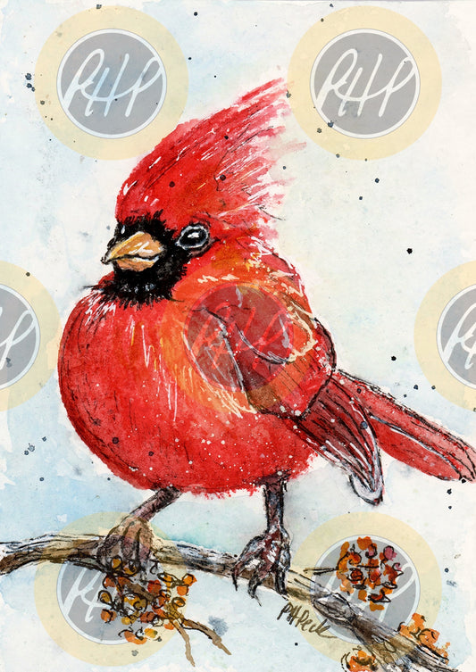 Cardinal with Berries - 10 Pack Notecards