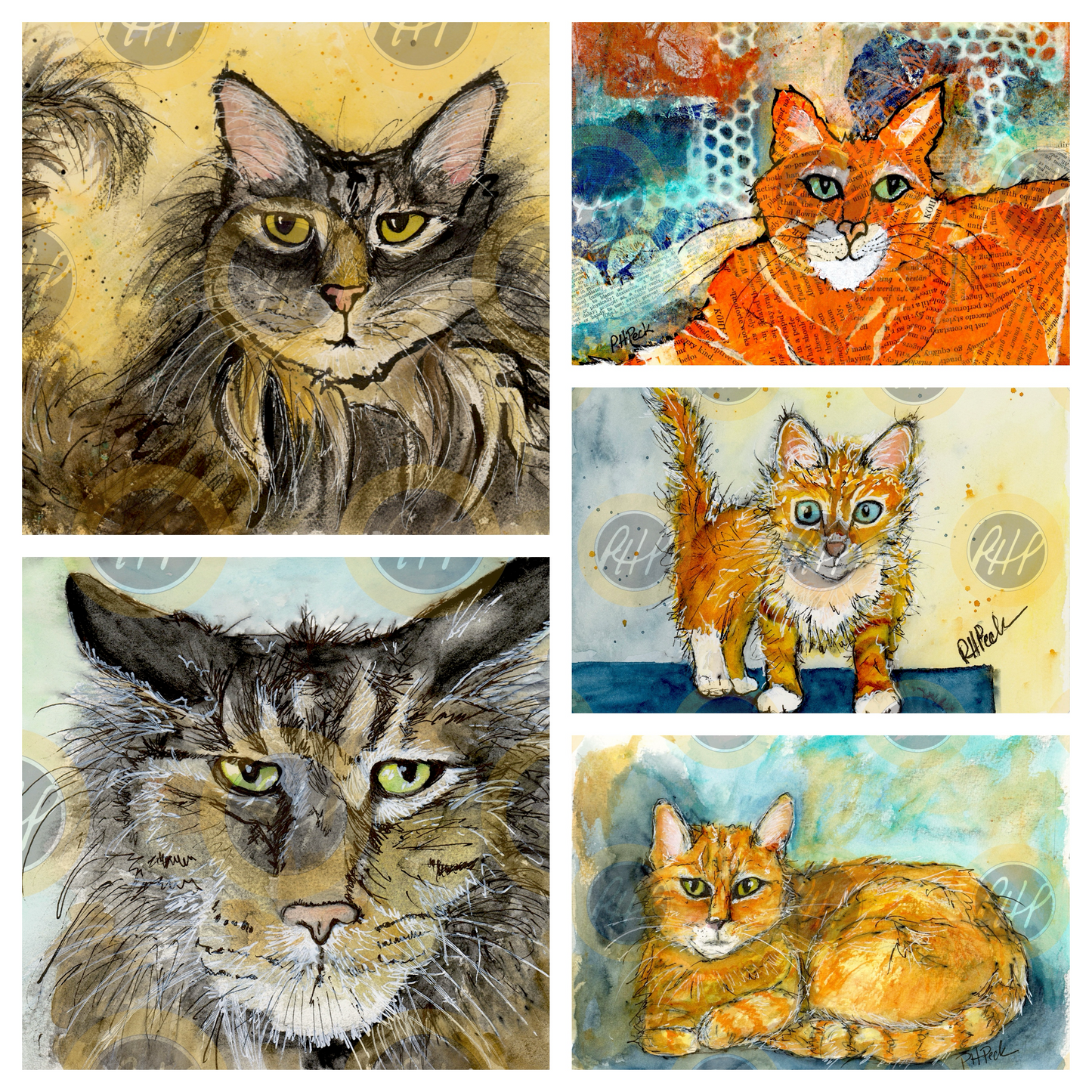 Cool Cats Variety Pack  - 10 Pack Notecards
