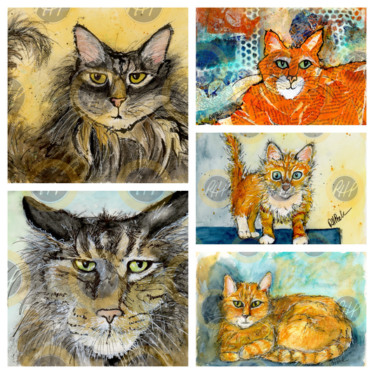 Cool Cats Variety Pack  - 10 Pack Notecards