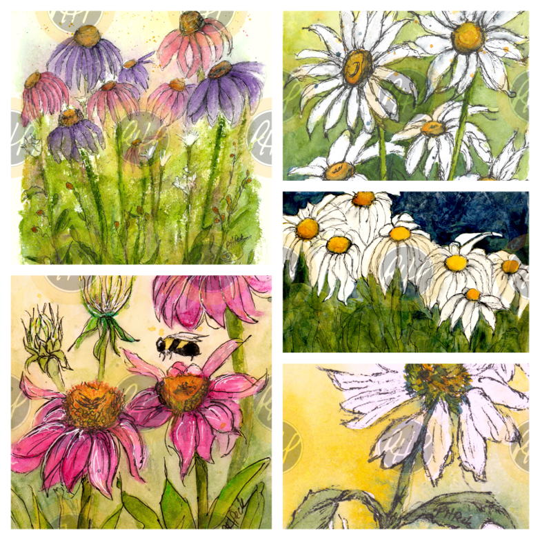 Coneflowers and Daisies Variety Pack  - 10 Pack Notecards