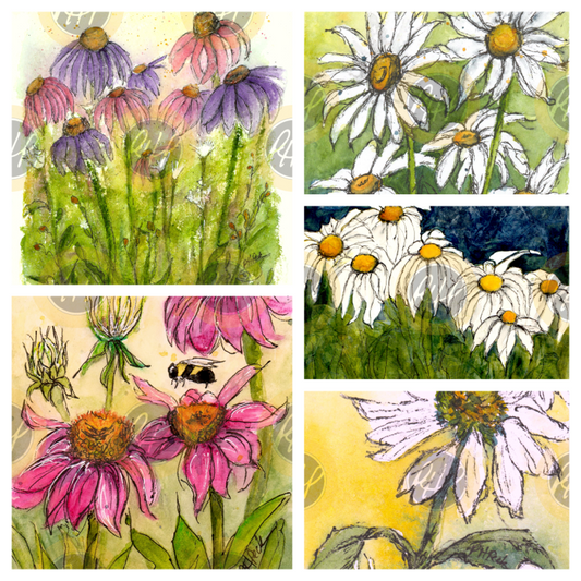 Coneflowers and Daisies Variety Pack  - 10 Pack Notecards