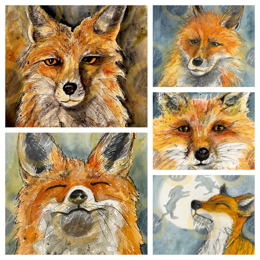 Fox Favorites Variety Pack  - 10 Pack Notecards