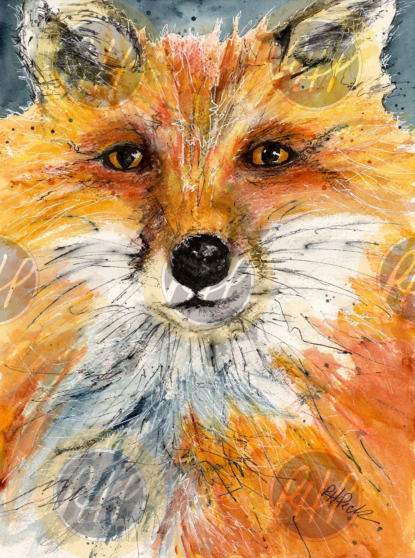 Sly Fox - 10 Pack Notecards