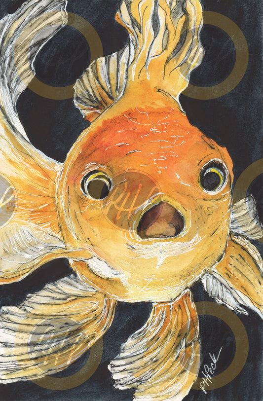 Goldfish Surprise - 10 Pack Notecards
