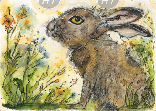 Summer Hare - 10 Pack Notecards