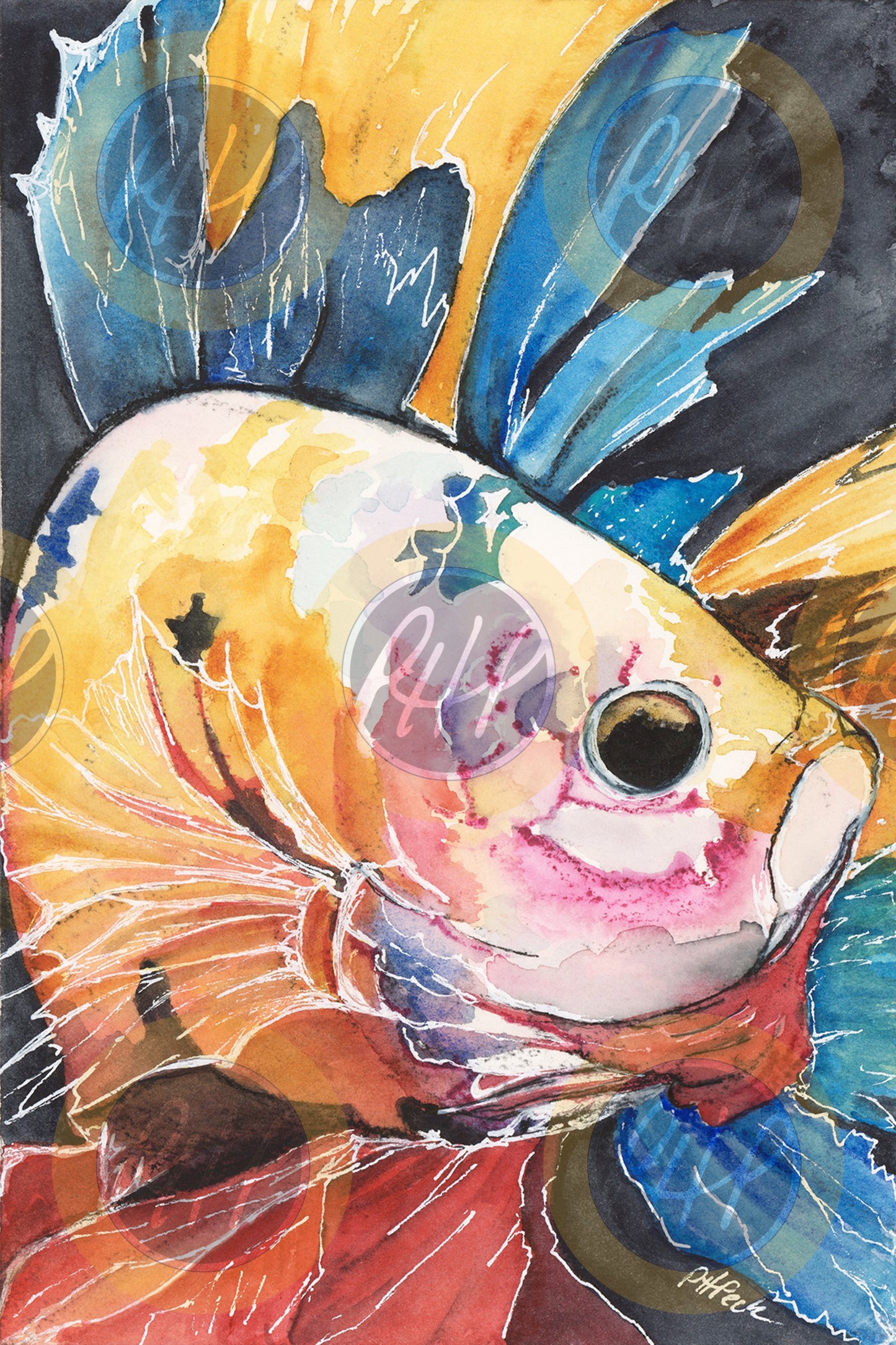 Colorful Betta - 10 Pack Notecards