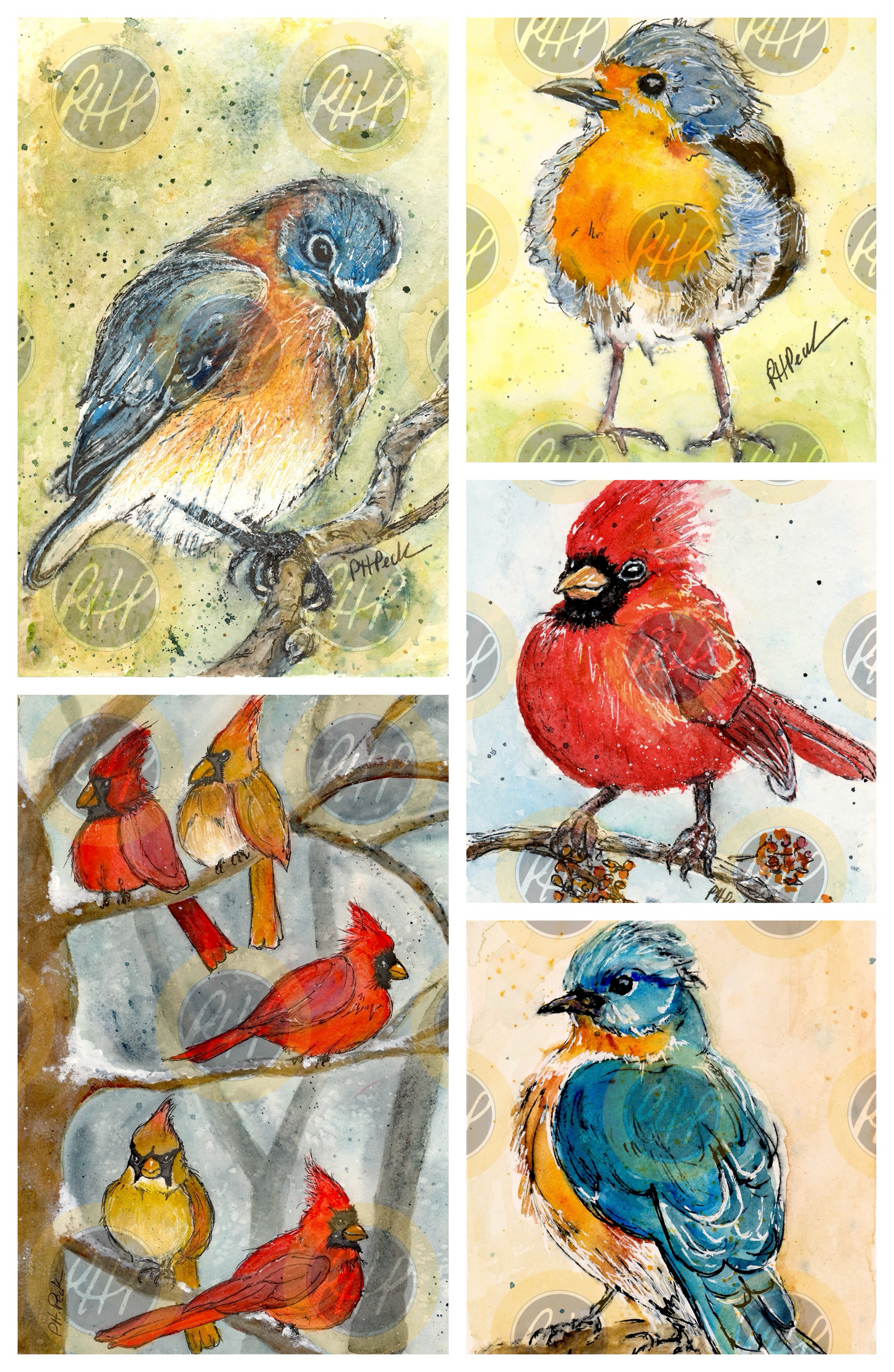 For the Birds Variety Pack  - 10 Pack Notecards