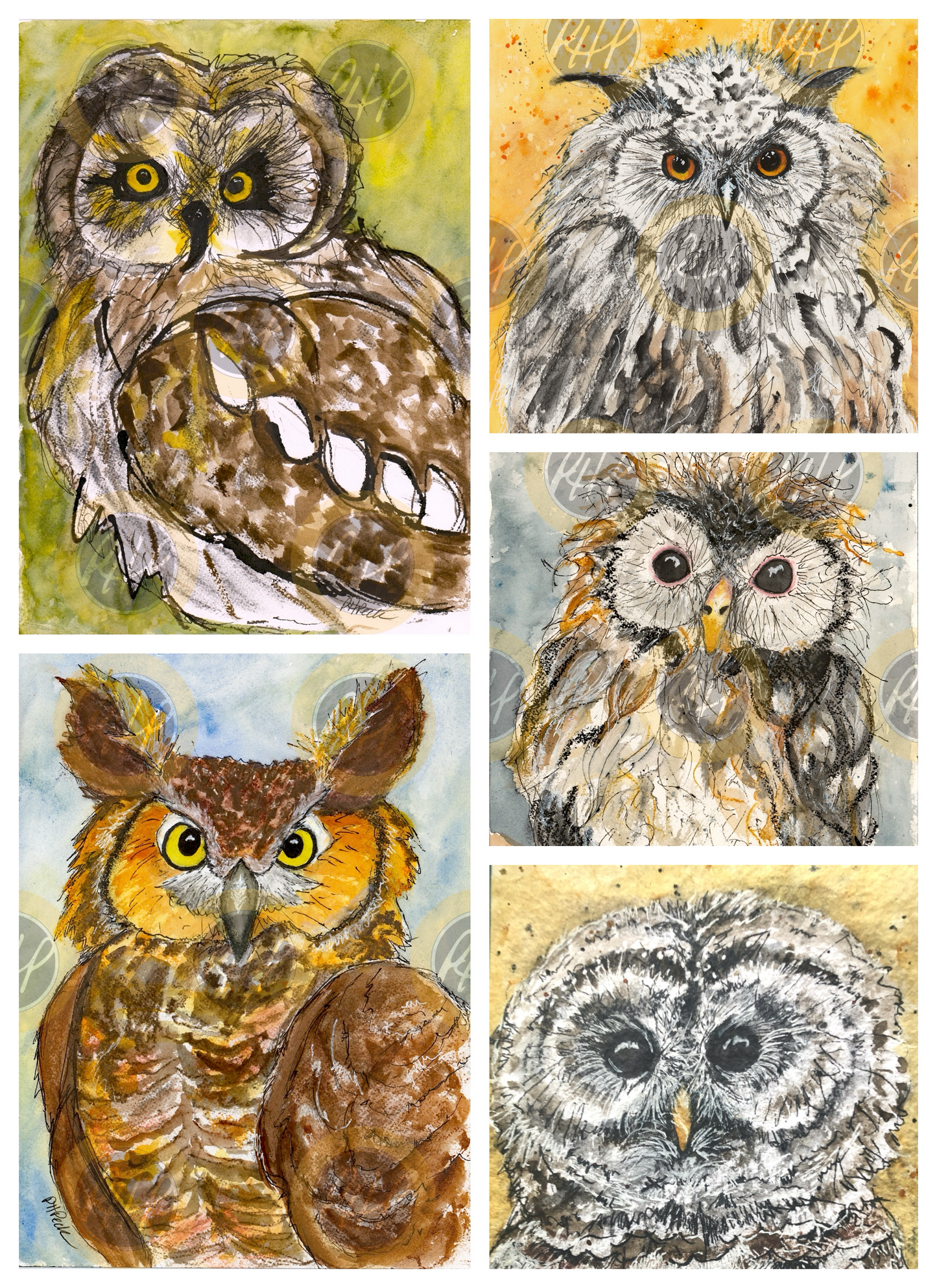 OWLS Favorites Variety Pack  - 10 Pack Notecards