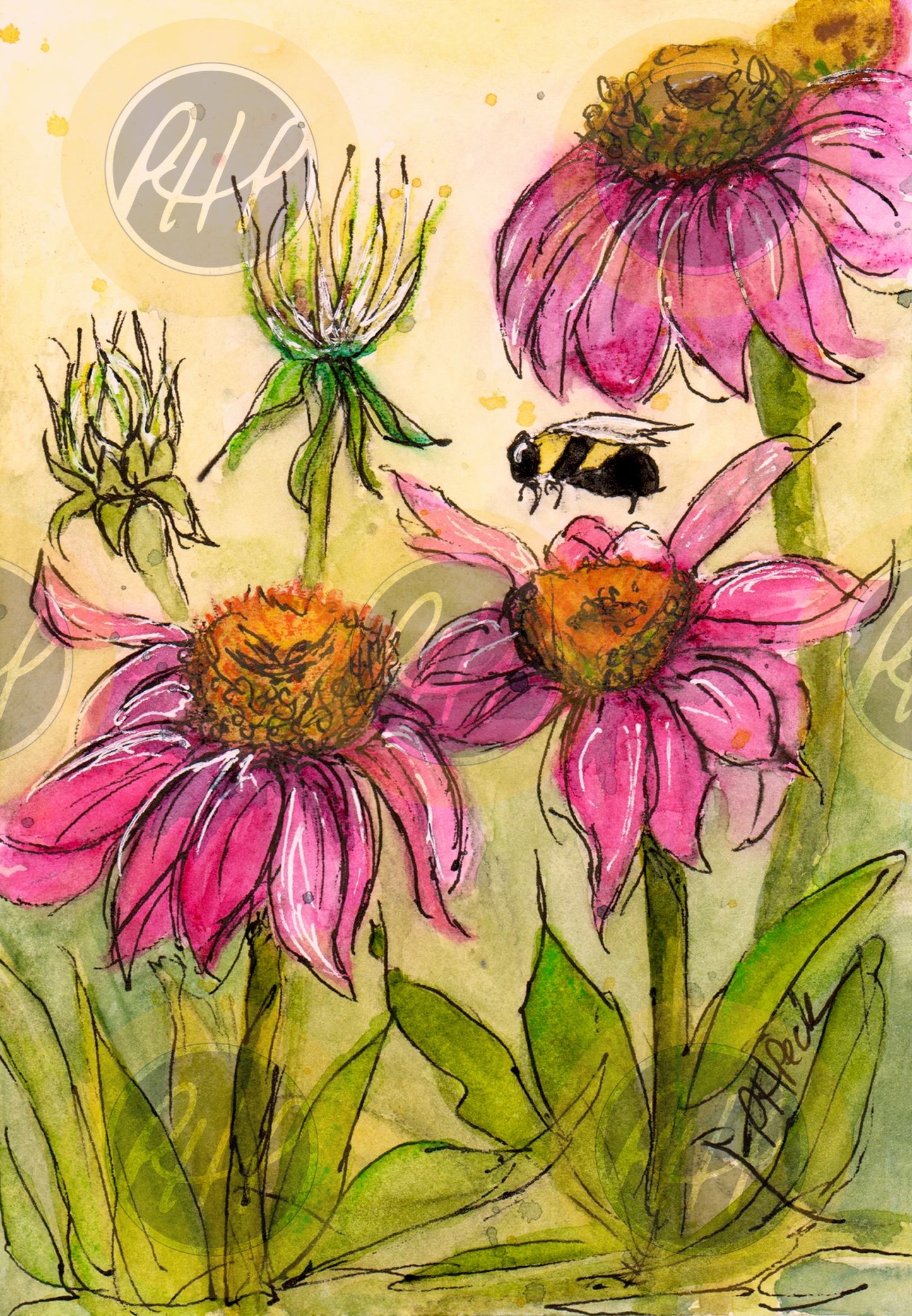 Pink Coneflower 10-Pack Notecards