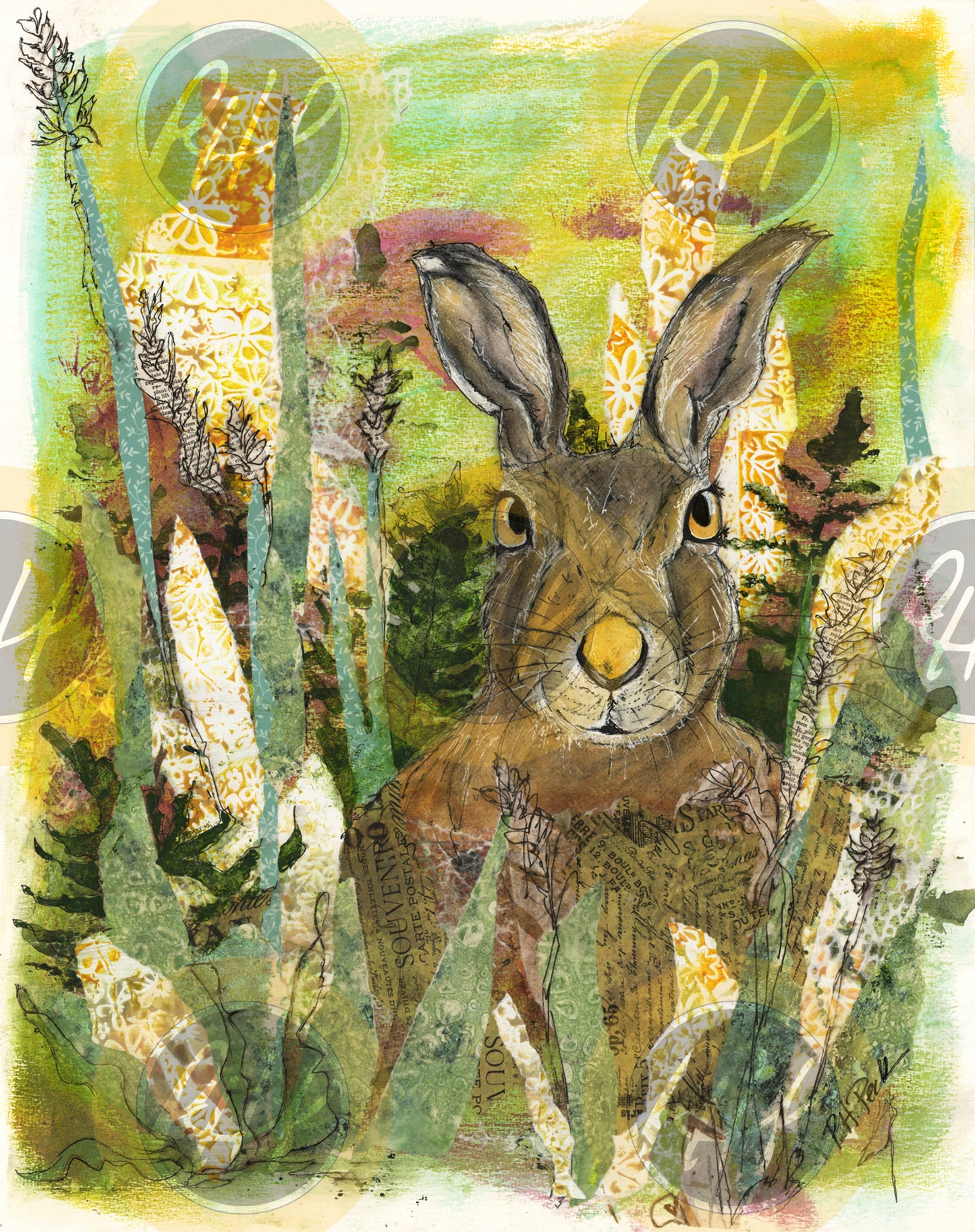 Field Hare - 10 Pack Notecards