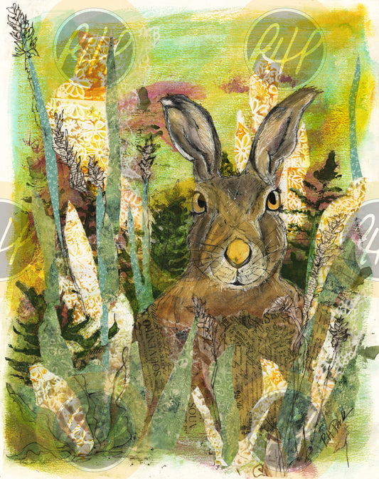 Field Hare - 10 Pack Notecards