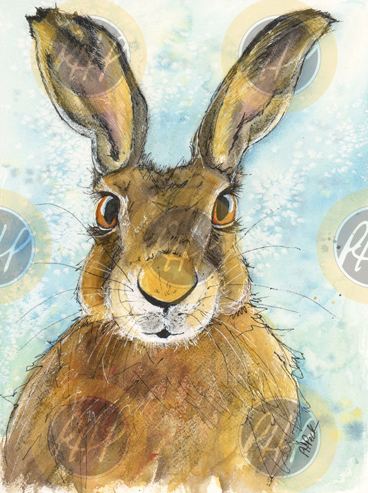 Blue Hare - 10 Pack Notecards
