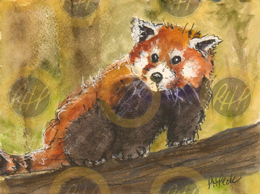 Red Panda - 10 Pack Notecards