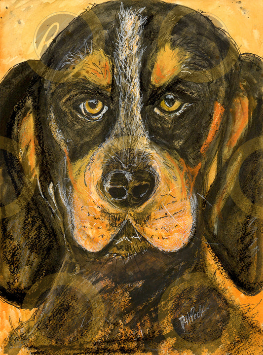 Smokey - 10 Pack Notecards