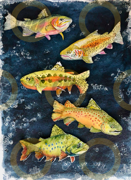 Trout Family - 10 Pack Notecards