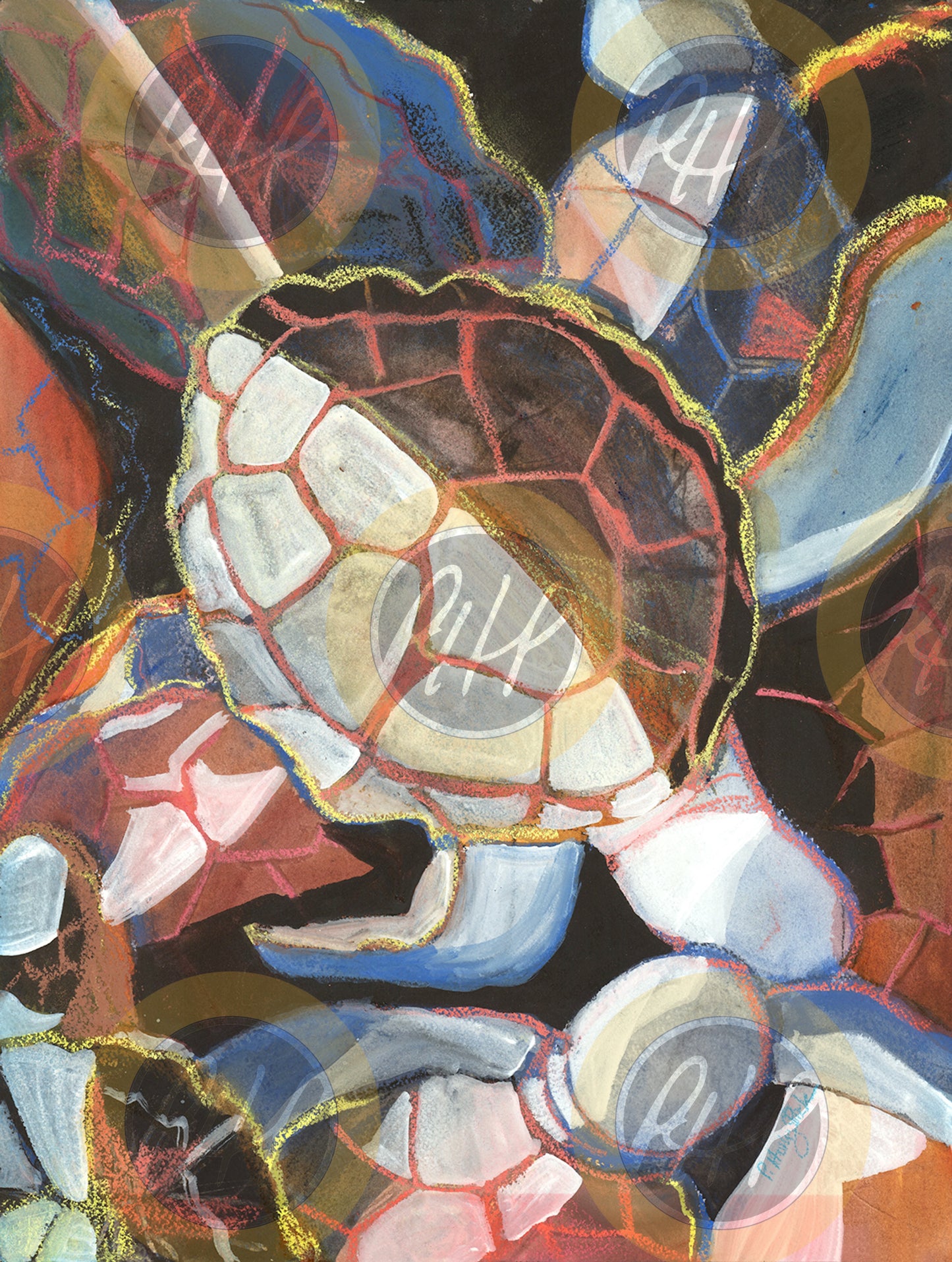 Turtles - 10 Pack Notecards