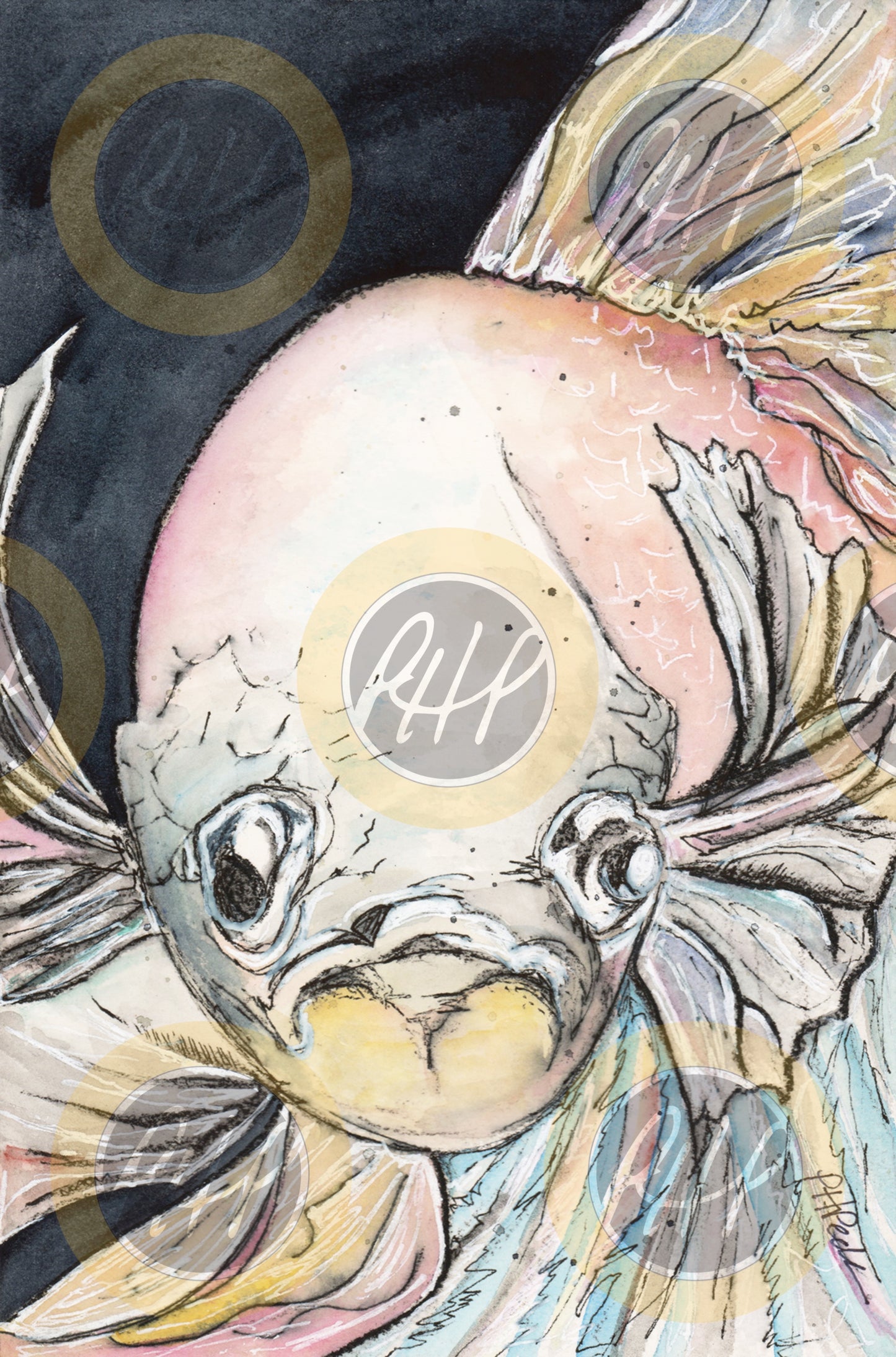 White Betta - 10 Pack Notecards