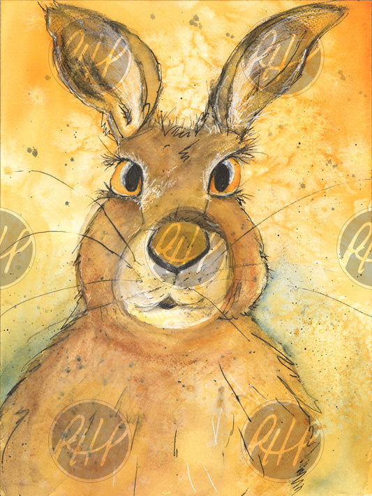 Gus Gus Hare - 10 Pack Notecards