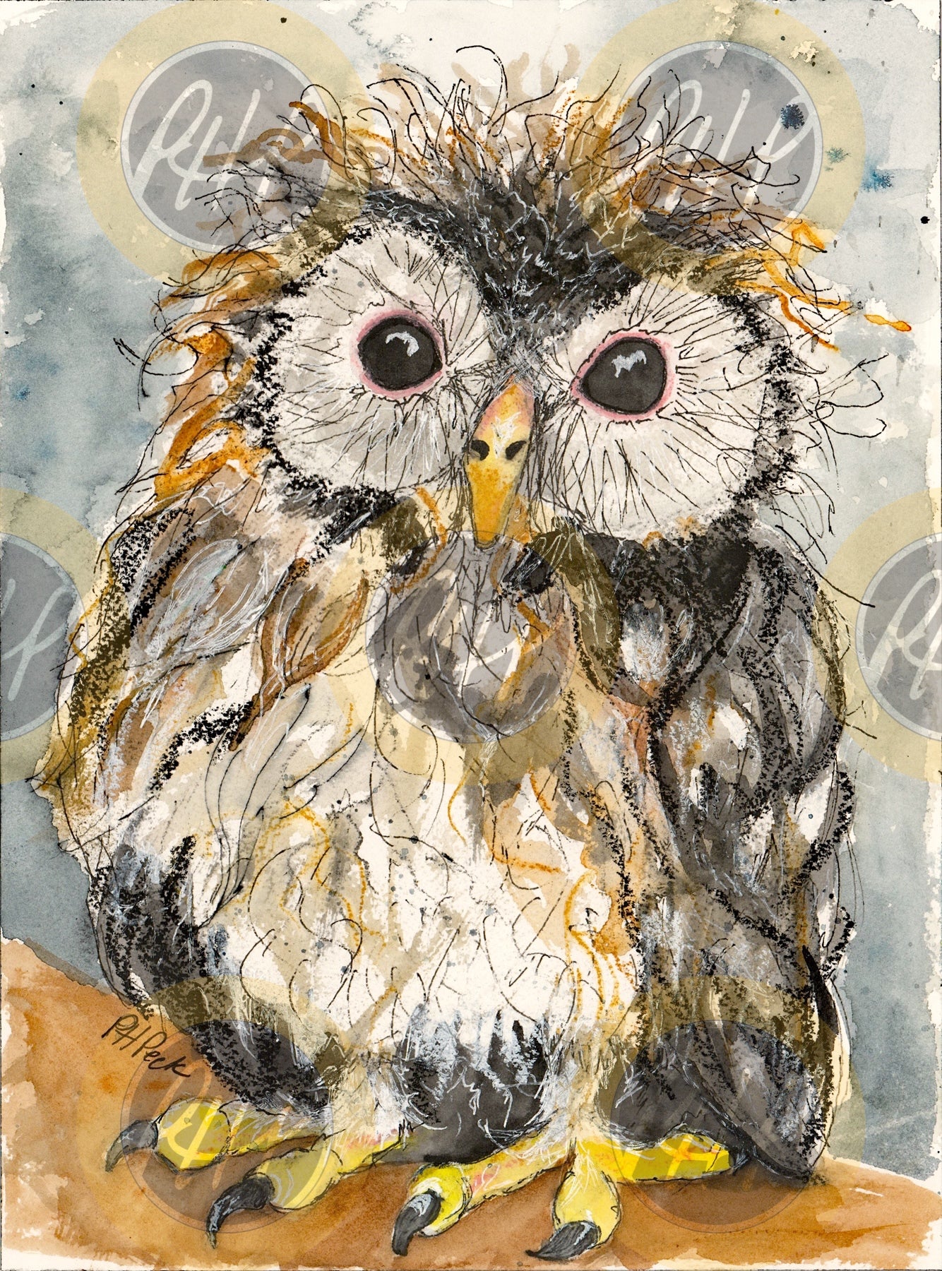 Baby Owl - 10 Pack Notecards