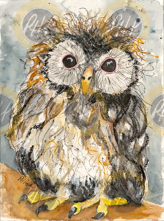 Baby Owl - 10 Pack Notecards