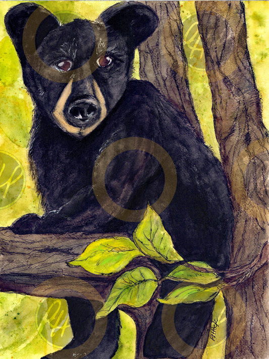 Bear Cub - 10 Pack Notecards