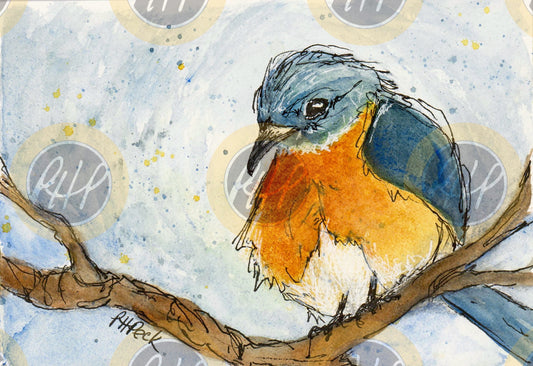 Gazing Bluebird - 10 Pack Notecards