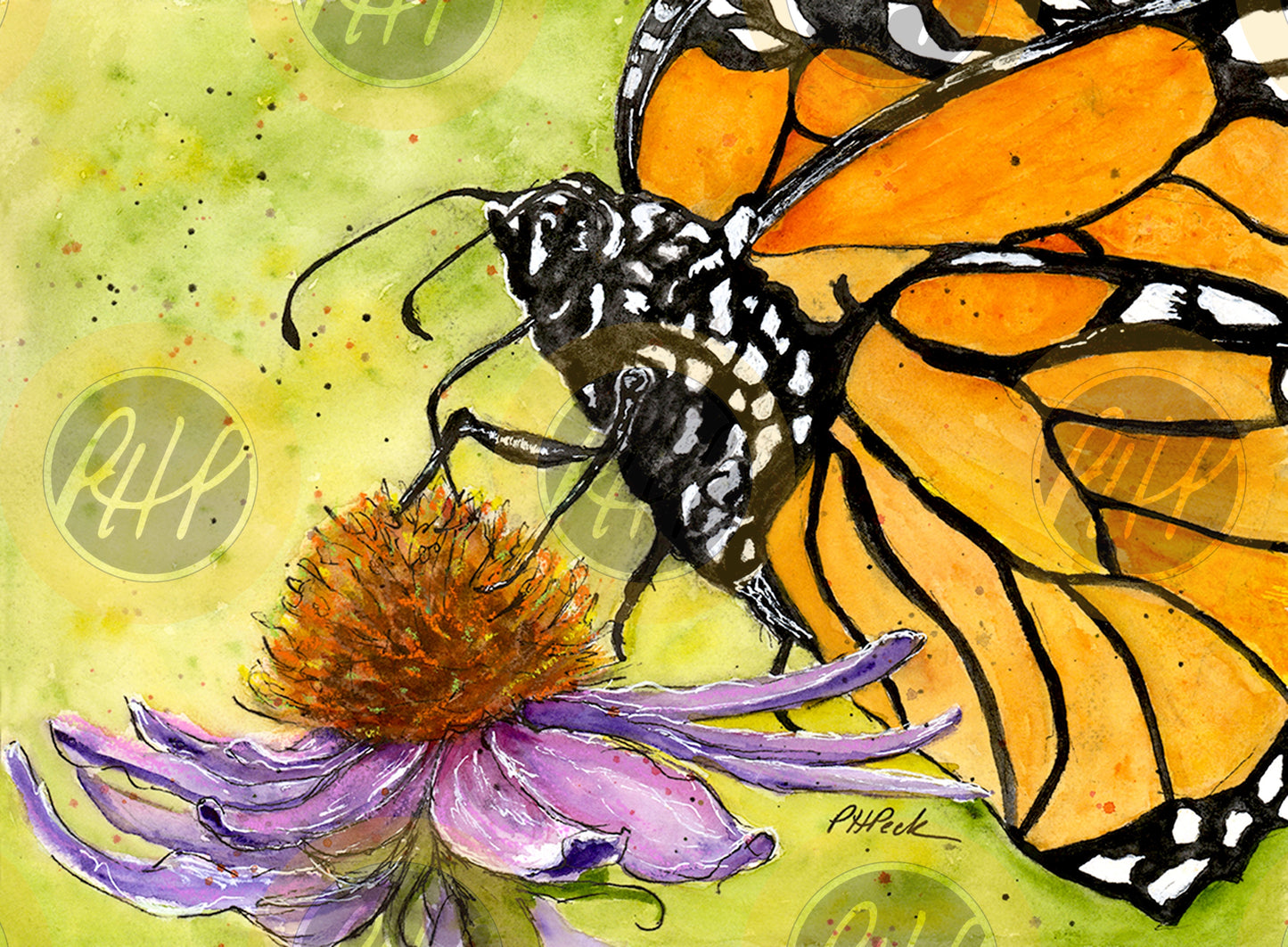 Butterfly Coneflower- 10 Pack Notecards