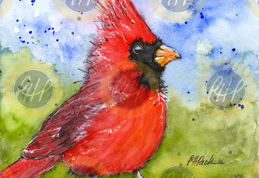 Summer Cardinal - 10 Pack Notecards