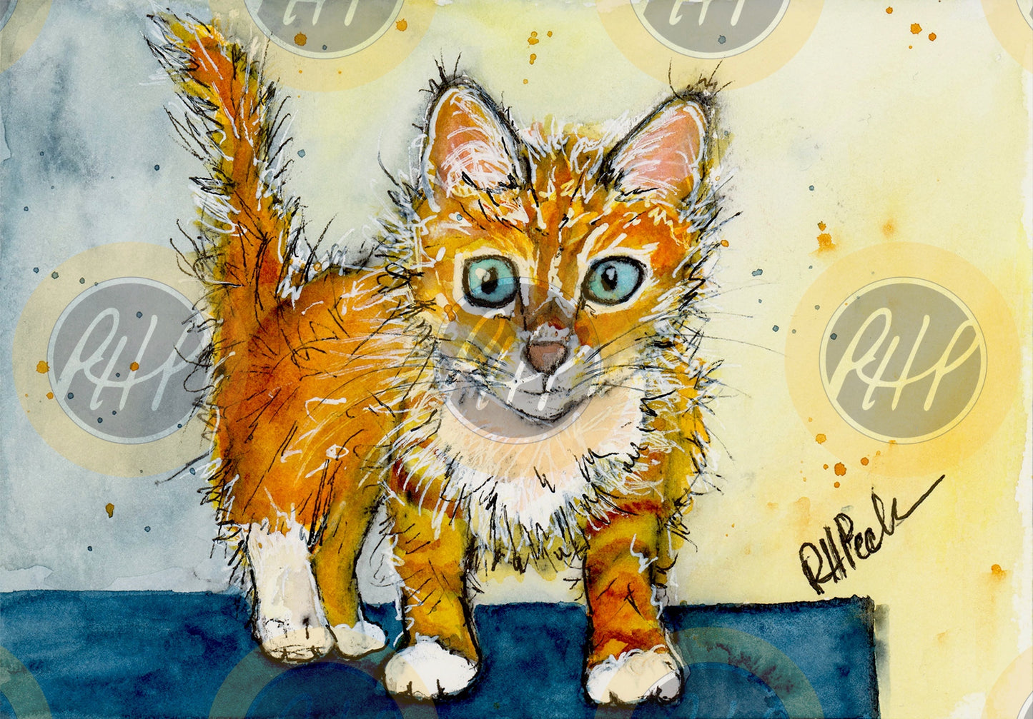 Tangerine - 10 Pack Notecards