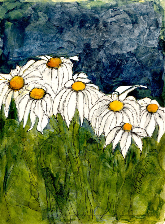 Daisies 10-Pack Notecards