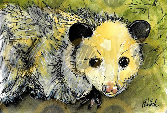 Opossum Pal - 10 Pack Notecards