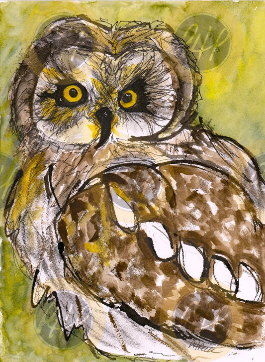 Owl Green - 10 Pack Notecards