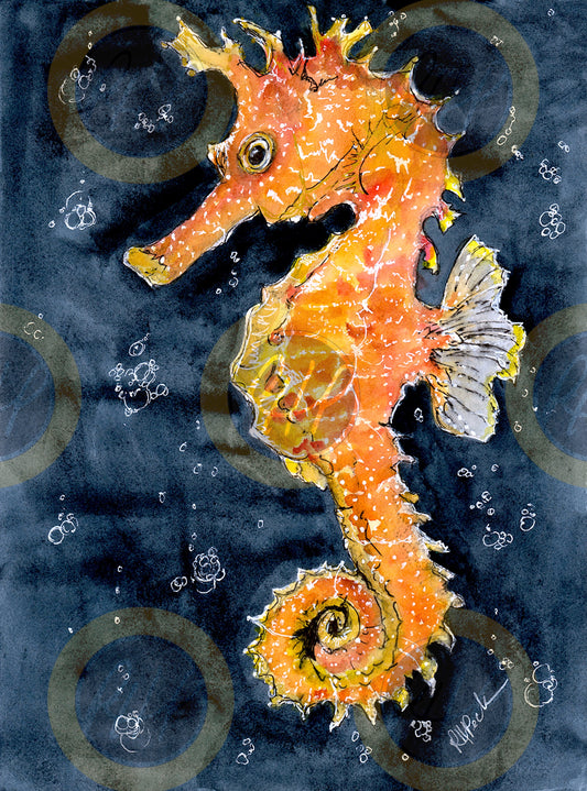 Seahorse - 10 Pack Notecards