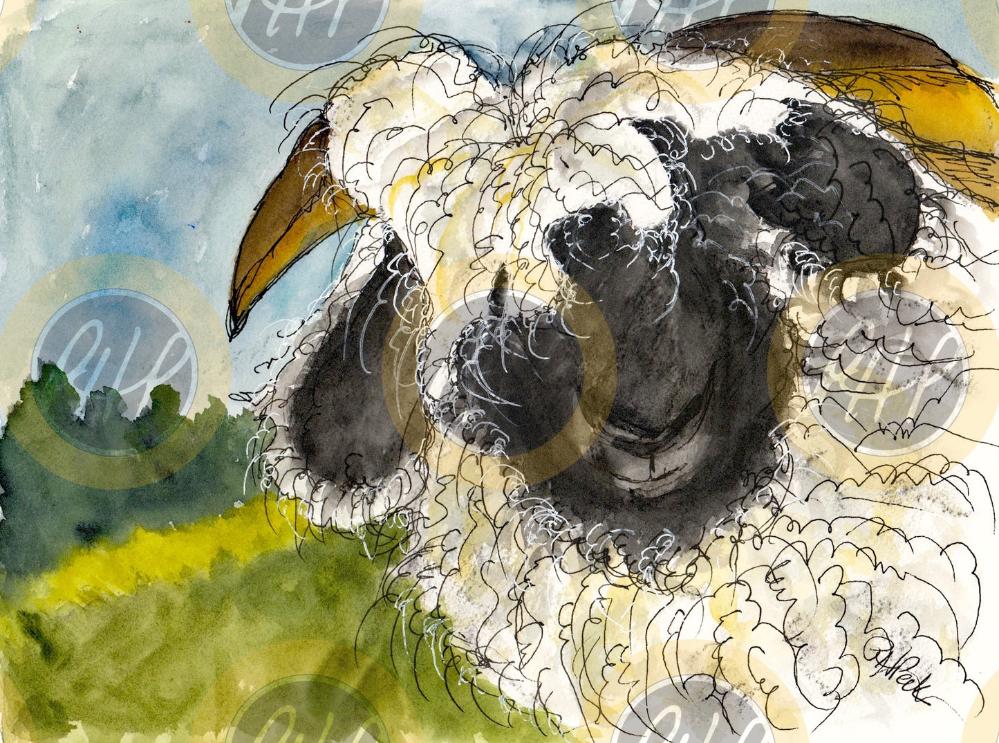 Sheepish Curiosity - 10 Pack Notecards